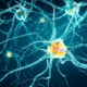 abstract neurons image