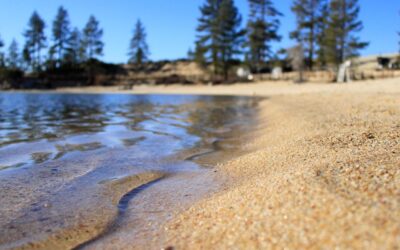 Grounding, Breath Control and Thought Management