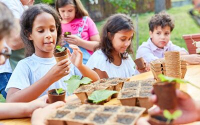 From School to Summer: How Families Can Transition Smoothly and Maintain a Healthy Routine