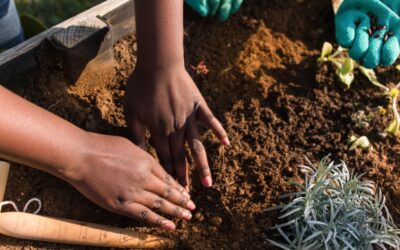 Cultivating Healing: The Connection Between Gardening and EMDR